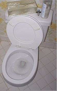 Close coupled cistern type flushing toilet.