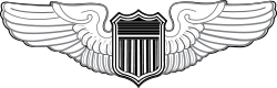 A metal device depicting silver wings with a silver shield in the middle.